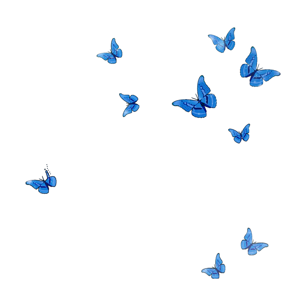 flying butterlies so cool